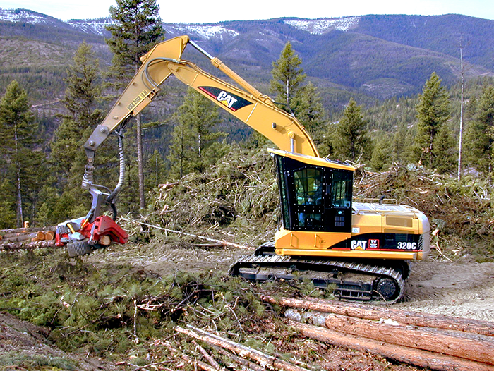 CAT equipment moving tree logs